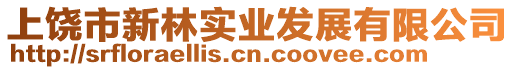 上饒市新林實業發展有限公司