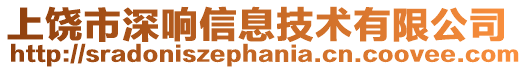 上饒市深響信息技術有限公司