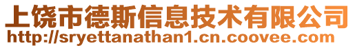 上饒市德斯信息技術(shù)有限公司