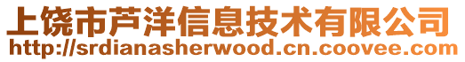 上饒市蘆洋信息技術有限公司