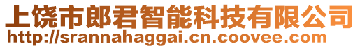 上饒市郎君智能科技有限公司