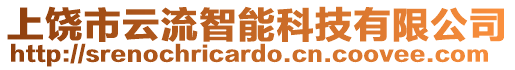 上饒市云流智能科技有限公司