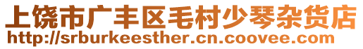 上饒市廣豐區(qū)毛村少琴雜貨店