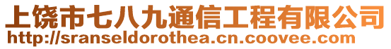 上饒市七八九通信工程有限公司