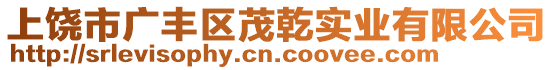 上饒市廣豐區(qū)茂乾實業(yè)有限公司