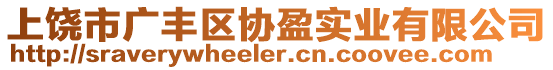 上饒市廣豐區(qū)協(xié)盈實業(yè)有限公司