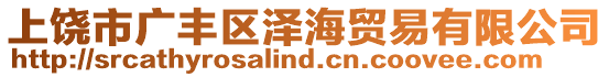 上饒市廣豐區(qū)澤海貿(mào)易有限公司