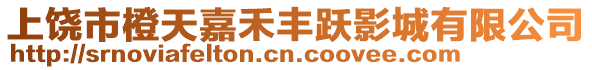 上饒市橙天嘉禾豐躍影城有限公司