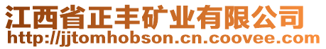 江西省正豐礦業(yè)有限公司