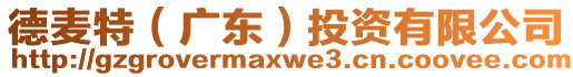 德麥特（廣東）投資有限公司