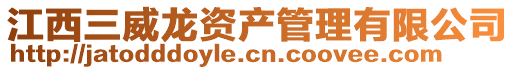 江西三威龍資產管理有限公司