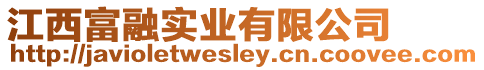 江西富融實業有限公司