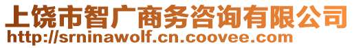 上饒市智廣商務(wù)咨詢有限公司