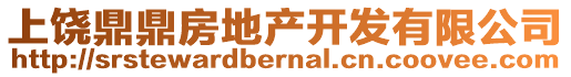 上饒鼎鼎房地產(chǎn)開發(fā)有限公司