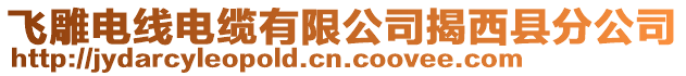 飛雕電線電纜有限公司揭西縣分公司