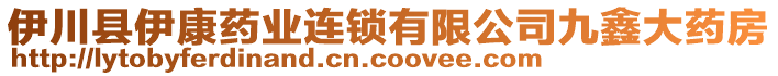 伊川縣伊康藥業(yè)連鎖有限公司九鑫大藥房