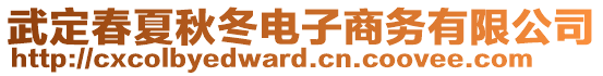 武定春夏秋冬電子商務(wù)有限公司