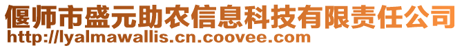 偃師市盛元助農(nóng)信息科技有限責(zé)任公司