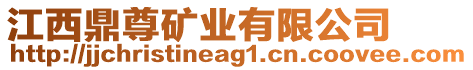 江西鼎尊礦業(yè)有限公司