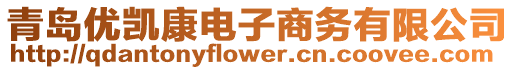 青島優(yōu)凱康電子商務(wù)有限公司