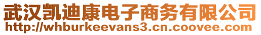 武漢凱迪康電子商務有限公司