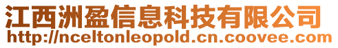 江西洲盈信息科技有限公司