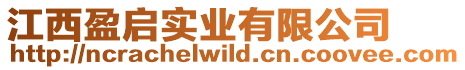 江西盈啟實業有限公司