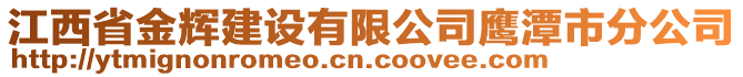 江西省金輝建設(shè)有限公司鷹潭市分公司