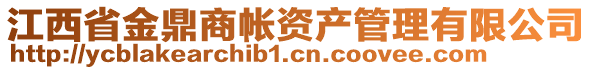 江西省金鼎商帳資產(chǎn)管理有限公司