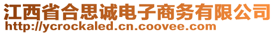 江西省合思誠(chéng)電子商務(wù)有限公司