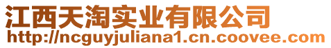 江西天淘實(shí)業(yè)有限公司