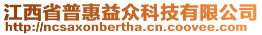 江西省普惠益眾科技有限公司