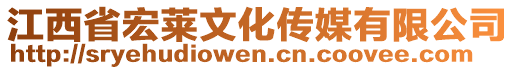 江西省宏萊文化傳媒有限公司