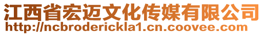 江西省宏邁文化傳媒有限公司