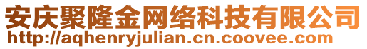 安慶聚隆金網(wǎng)絡科技有限公司