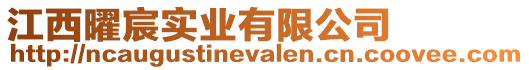 江西曜宸實業(yè)有限公司