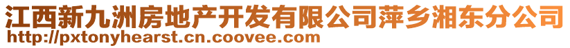 江西新九洲房地產(chǎn)開發(fā)有限公司萍鄉(xiāng)湘東分公司