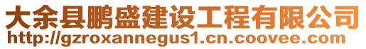 大余縣鵬盛建設工程有限公司