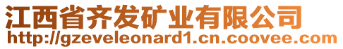 江西省齊發(fā)礦業(yè)有限公司
