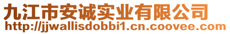 九江市安誠實業(yè)有限公司