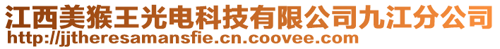 江西美猴王光電科技有限公司九江分公司