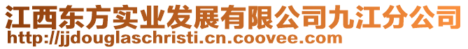 江西東方實業(yè)發(fā)展有限公司九江分公司