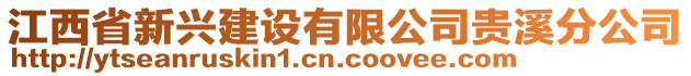 江西省新興建設有限公司貴溪分公司