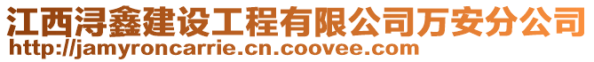 江西潯鑫建設工程有限公司萬安分公司