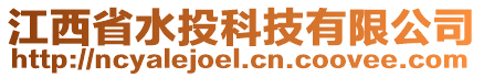 江西省水投科技有限公司