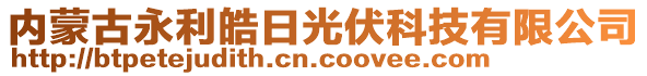 內(nèi)蒙古永利皓日光伏科技有限公司