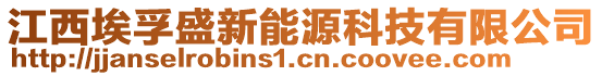 江西埃孚盛新能源科技有限公司