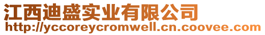 江西迪盛實(shí)業(yè)有限公司