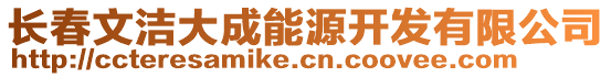 長春文潔大成能源開發(fā)有限公司