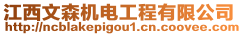 江西文森機(jī)電工程有限公司